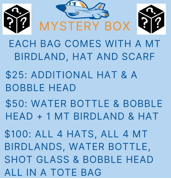 Mystery Bags