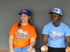 Aberdeen IronBirds - Primary Logo T-Shirt